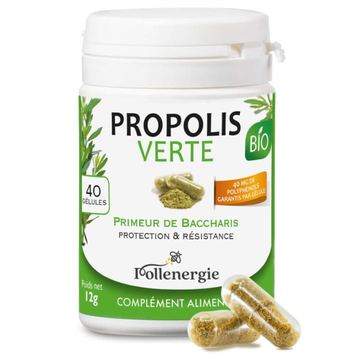 Propolis verte bio du Brésil, puissant antibactérien - Renforce les défenses naturelles, récupération sportive | Pollenergie.fr