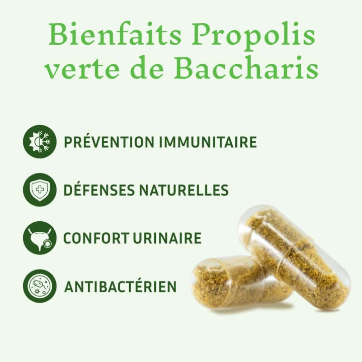 Propolis verte bio du Brésil, puissant antibactérien - Renforce les défenses naturelles, récupération sportive | Pollenergie.fr