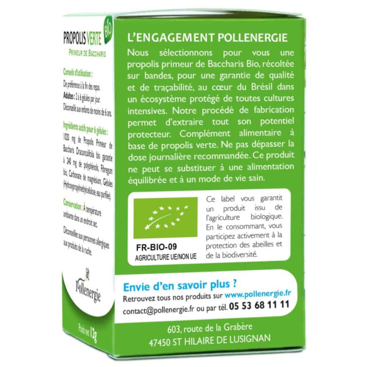 Propolis verte bio du Brésil, puissant antibactérien - Renforce les défenses naturelles, récupération sportive | Pollenergie.fr