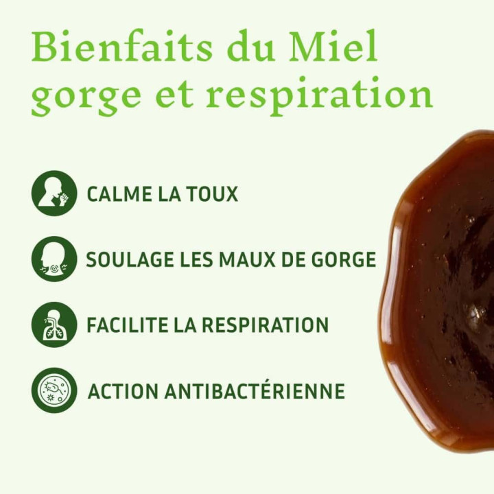 Miel d'eucalyptus et propolis pour soulager les Maux de gorge - Action antitussive, expectorant et antiseptique | Pollenergie.fr