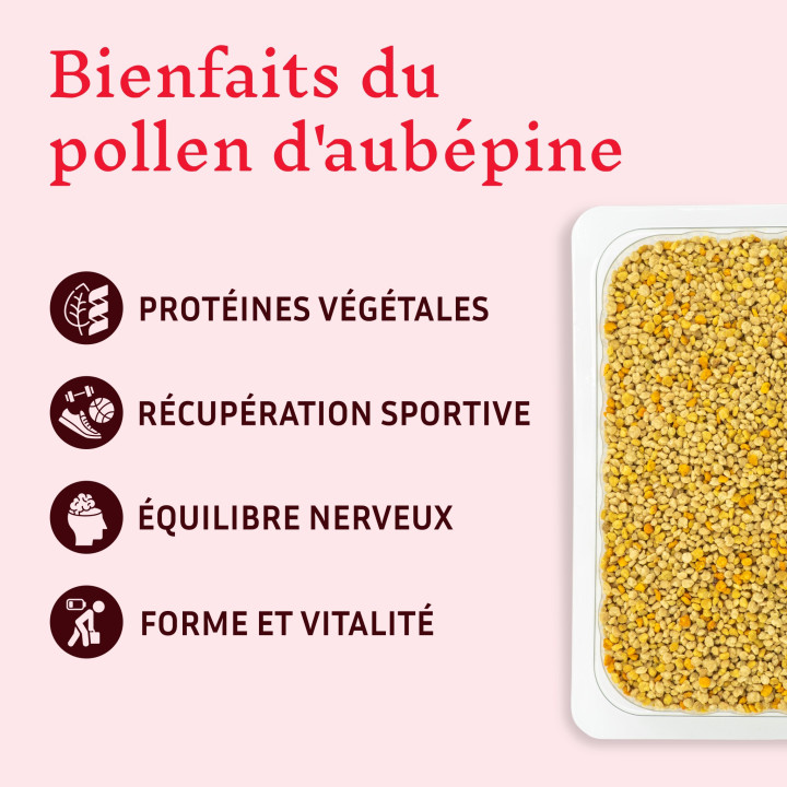 Pollen frais bio d'Aubépine, Riche en protéines végétales et fer - Produit naturel récolté des abeilles | Pollenergie.fr