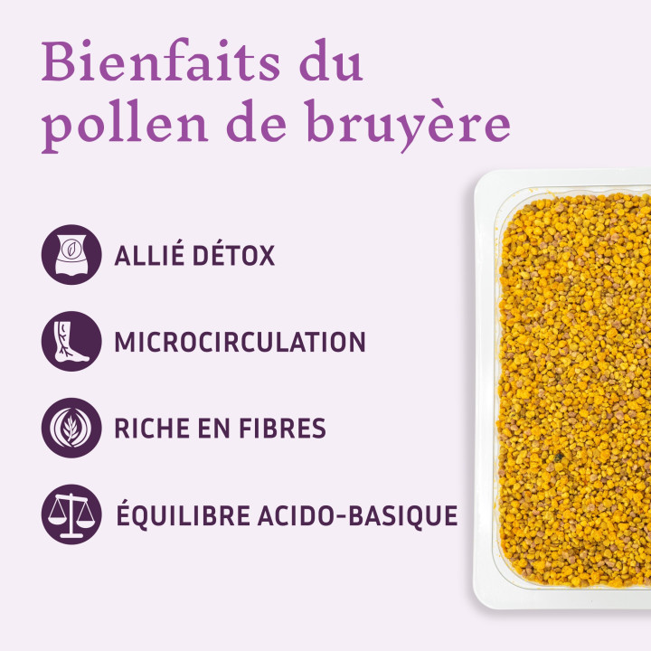 Pollen frais de Bruyère - Équilibre acido-basique et détox - Améliorer la mémoire et la microcirculation | Pollenergie.fr