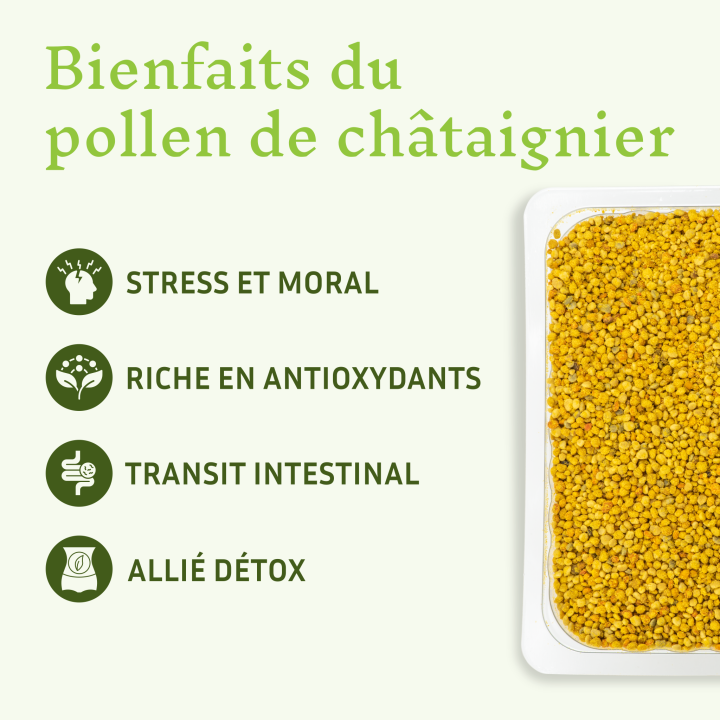 Pollen bio de Châtaignier : Apaisant & Antioxydant - Superaliment de la ruche récolté par les Abeilles | Pollenergie.fr