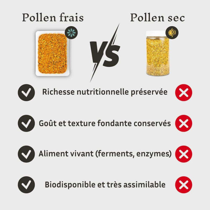 Effipollen Harmonie digestive à  l'anis vert : allié naturel de la ruche - Troubles digestifs et ventre plat | Pollenergie.fr