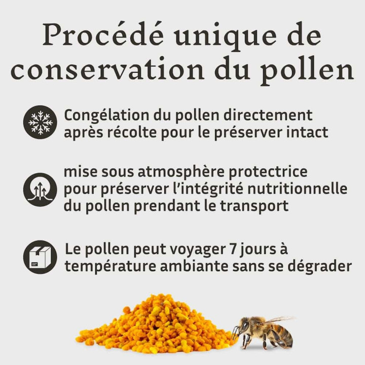 Effipollen Harmonie digestive à  l'anis vert : allié naturel de la ruche - Troubles digestifs et ventre plat | Pollenergie.fr