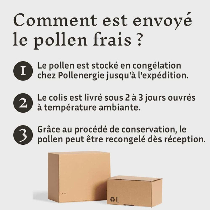 Effipollen Harmonie digestive à  l'anis vert : allié naturel de la ruche - Troubles digestifs et ventre plat | Pollenergie.fr