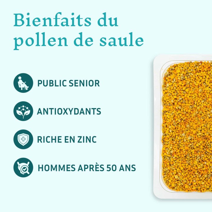 Pollen bio de Saule, protège naturellement l'organisme - Limiter les carences nutritionnelles et convalescence | Pollenergie.fr
