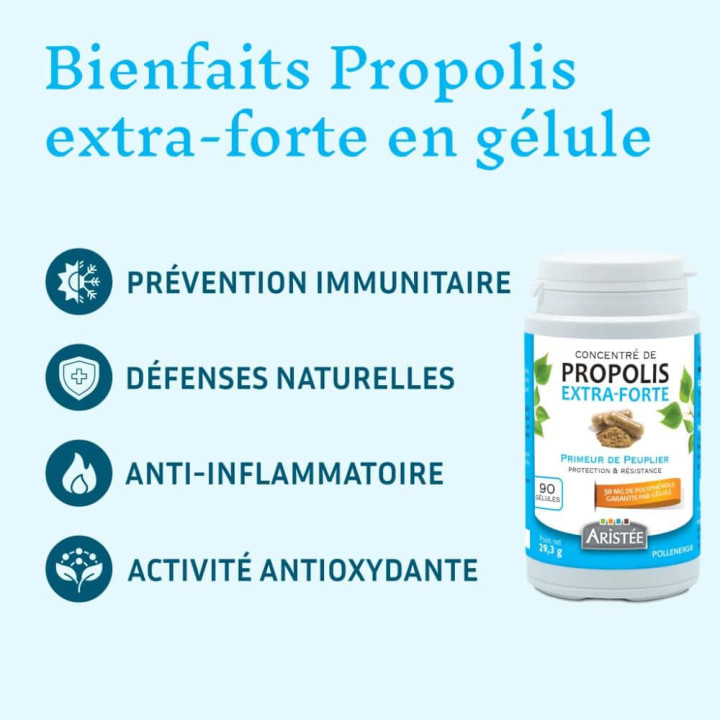 Extra-Strong Poplar Propolis, the Body's Natural Shield - Broad-Spectrum Bee Antiseptic | Pollenergie.fr