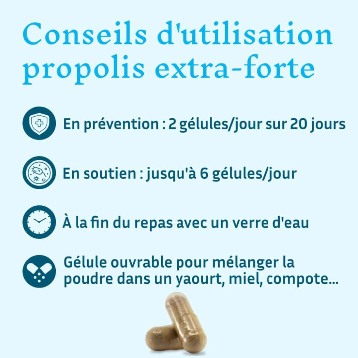 Propolis extra-forte de Peuplier, bouclier naturel de l'organisme -  Antiseptique des abeilles à large spectre| Pollenergie.fr