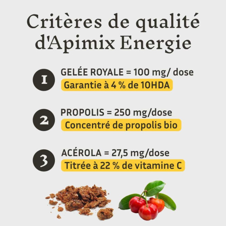 Cure flash de 10 jours pour retrouver la forme - Apimix Énergie bio à la Propolis, Gelée royale et Vitamine C | Pollenergie.fr
