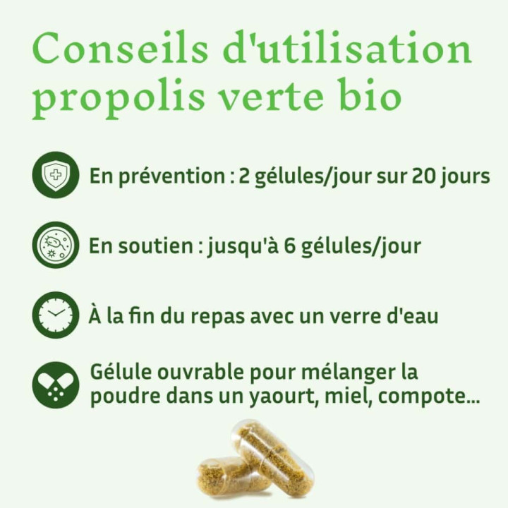 Propolis verte bio du Brésil, puissant antibactérien - Renforce les défenses naturelles, récupération sportive | Pollenergie.fr