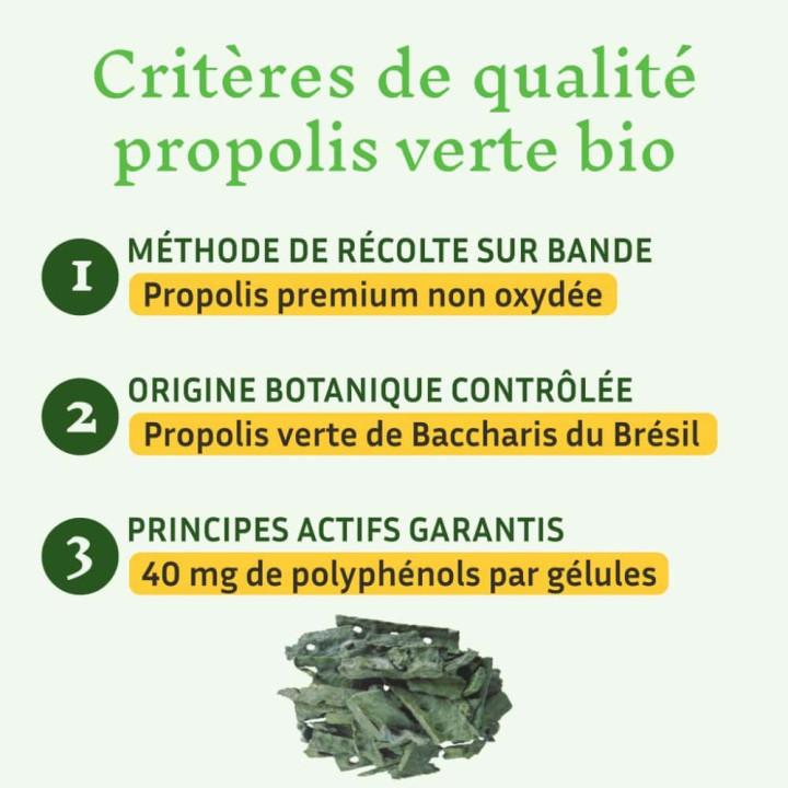 Propolis verte bio du Brésil, puissant antibactérien - Renforce les défenses naturelles, récupération sportive | Pollenergie.fr