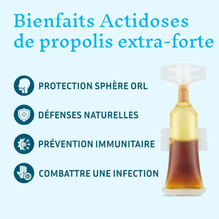 Propolis de Peuplier BIO en dose : protéger la sphère ORL et soutenir son immunité - Antiseptique de la ruche | Pollenergie.fr