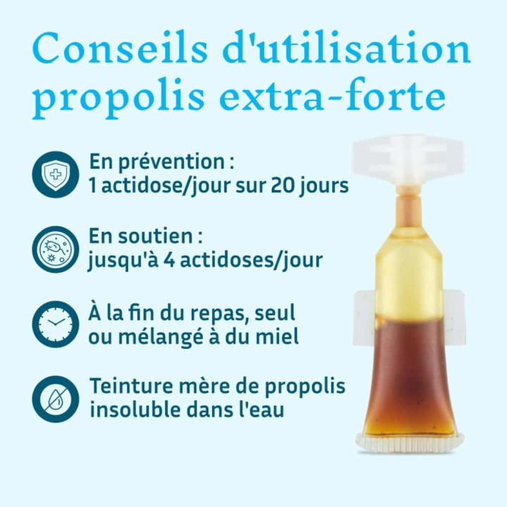 Propolis de Peuplier BIO en dose : protéger la sphère ORL et soutenir son immunité - Antiseptique de la ruche | Pollenergie.fr