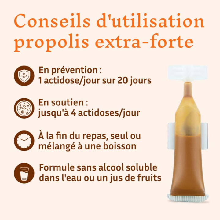 Propolis bio de peuplier sans alcool, bouclier naturel de la ruche - Défenses naturelles des enfants et adultes | Pollenergie.fr