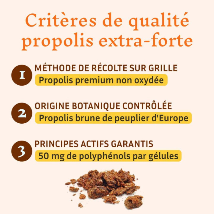 Propolis bio de peuplier sans alcool, bouclier naturel de la ruche - Défenses naturelles des enfants et adultes | Pollenergie.fr