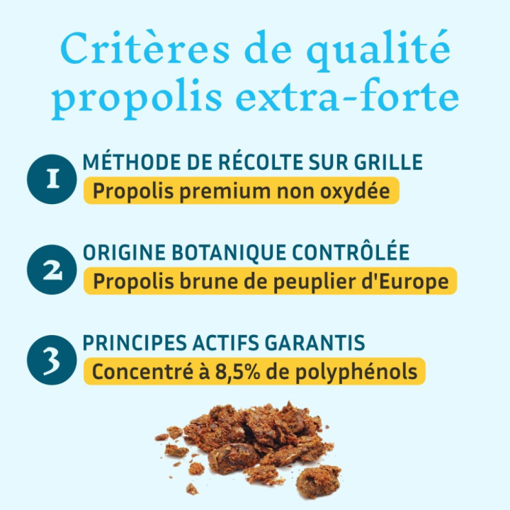 Spray à la Propolis bio de peuplier et Miel d'eucalyptus - Protéger la sphère ORL et soulager les maux de gorge | Pollenergie.fr