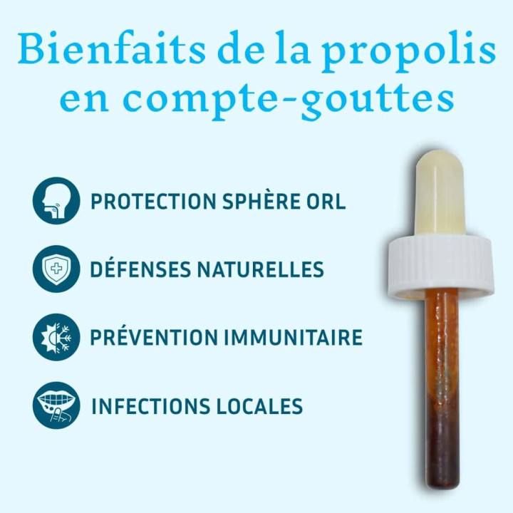 Organic Brown Poplar Propolis in a Dropper Bottle - Protects the ENT area, helps fight local infections | Pollenergie.fr