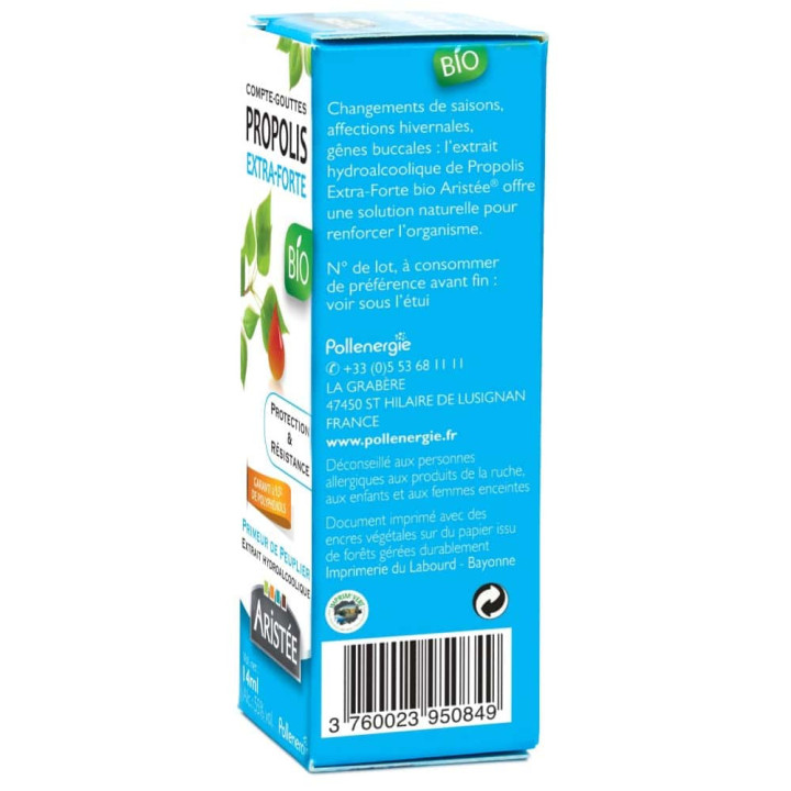 Organic Brown Poplar Propolis in a Dropper Bottle - Protects the ENT area, helps fight local infections | Pollenergie.fr