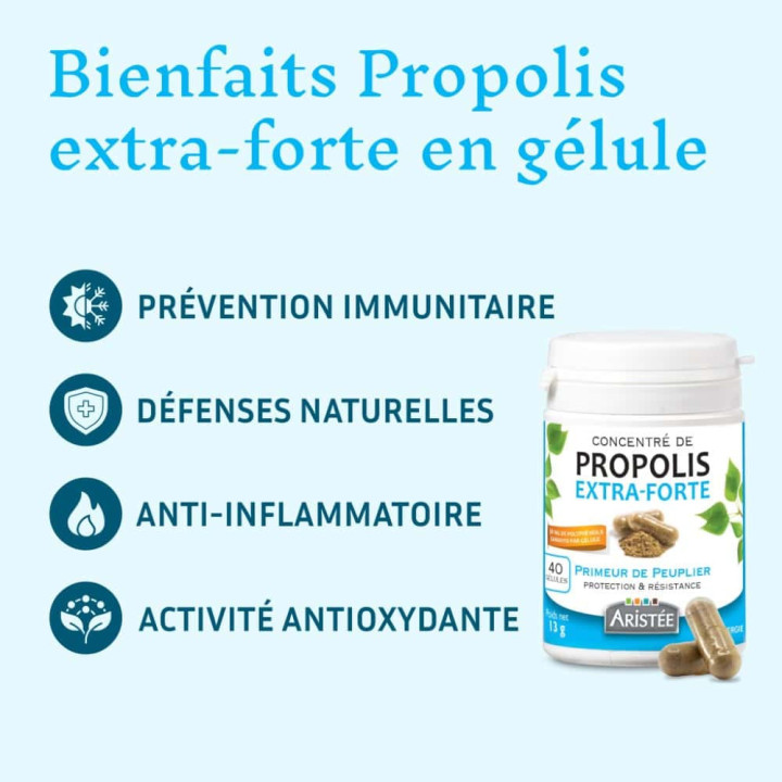 Propolis extra-forte de Peuplier, bouclier naturel de l'organisme -  Antiseptique des abeilles à large spectre| Pollenergie.fr