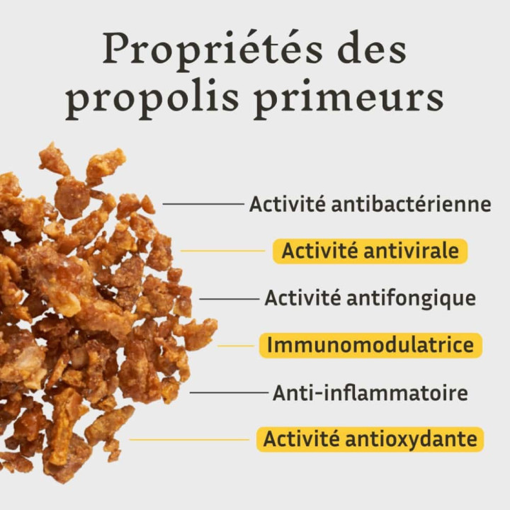 Pastilles à la Propolis bio & citron sans sucre ajouté - Soulager les maux de gorge et protéger la sphère ORL | Pollenergie.fr