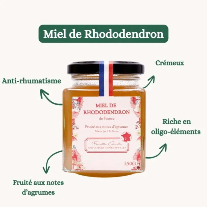 Miel français de Rhododendron récolté en montagne par Les Abeilles de Malescot | Pollenergie.fr