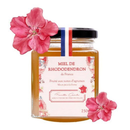 Miel français de Rhododendron récolté en montagne par Les Abeilles de Malescot | Pollenergie.fr
