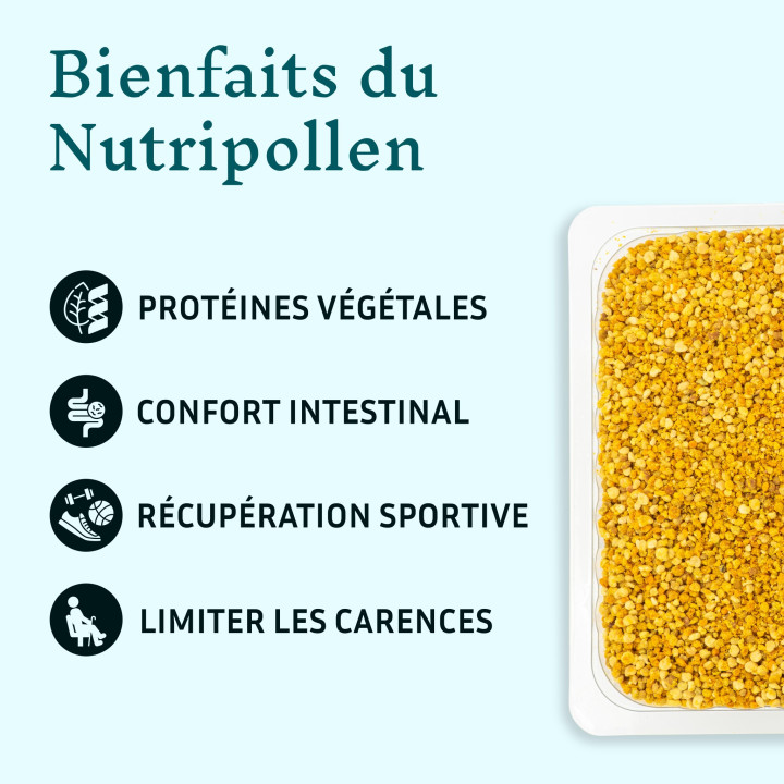 Rééquilibrage alimentaire avec le Pollen frais d'abeille - Mincir naturellement avec les produits de la ruche | Pollenergie.fr