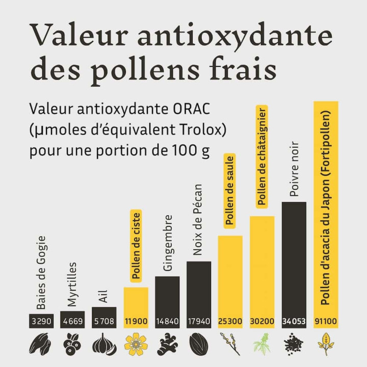 Rééquilibrage alimentaire avec le Pollen frais d'abeille - Mincir naturellement avec les produits de la ruche | Pollenergie.fr