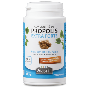 PROPOLIS EXTRA-FORTE DE PEUPLIER - 90 gélules