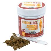 CANDOFLORE PROPOLIS ROUGE