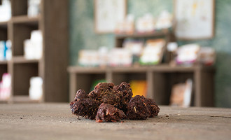 Propolis rouge de Dalbergia