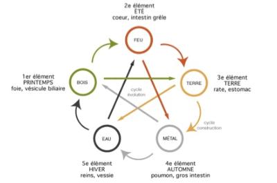 Dtox en automne