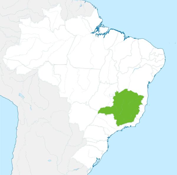 Minas Gerais, zone de production de la propolis verte