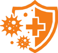 La propolis agit sur la rponse immunitaire inne et adaptative