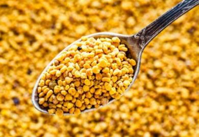 Pollen frais : zoom sur un super aliment vivant