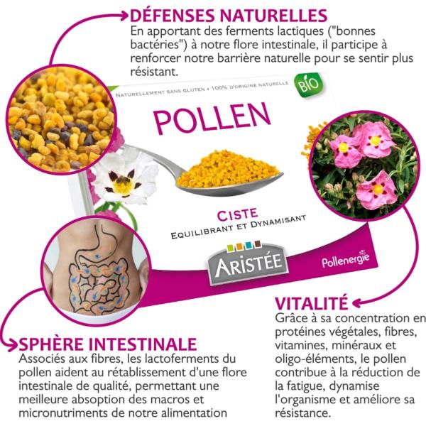 Pollen frais congel  l'tat frais de ciste