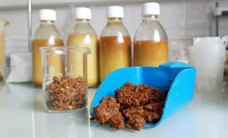 Propolis brune de peuplier
