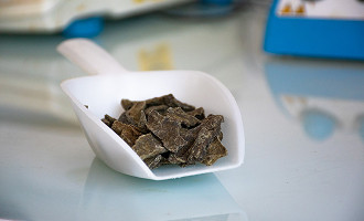 Propolis verte de Baccharis