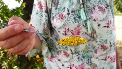 Bienfaits du pollen sur le stress