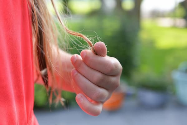 Cure de pollen pour renforcer ses cheveux