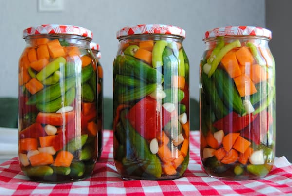 Fermentation lactique des aliments