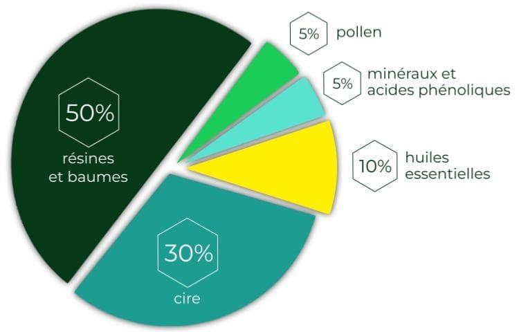 Composition générale de la propolis