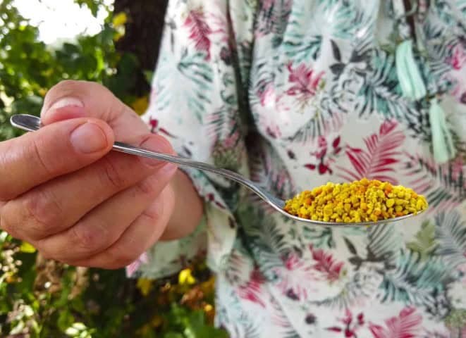 Le pollen de ciste est le seul produit qui dynamise à la fois la muqueuse et la flore intestinales